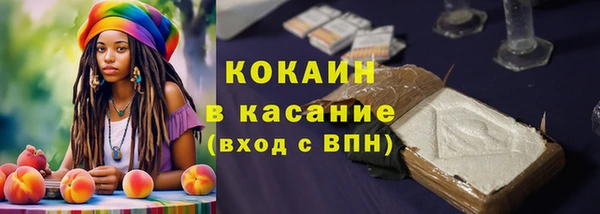 стаф Карпинск