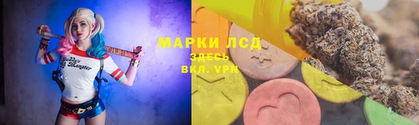 тгк Арсеньев