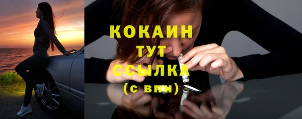 тгк Арсеньев