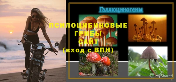 хмурый Армянск